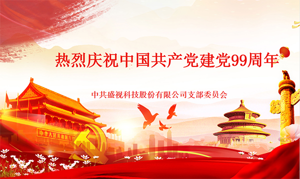 盛视党建动态|安博(中国)anbo·官方网页版,党组织开展庆祝建党99周年主题党日活动